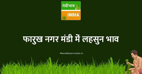 garlic भाव